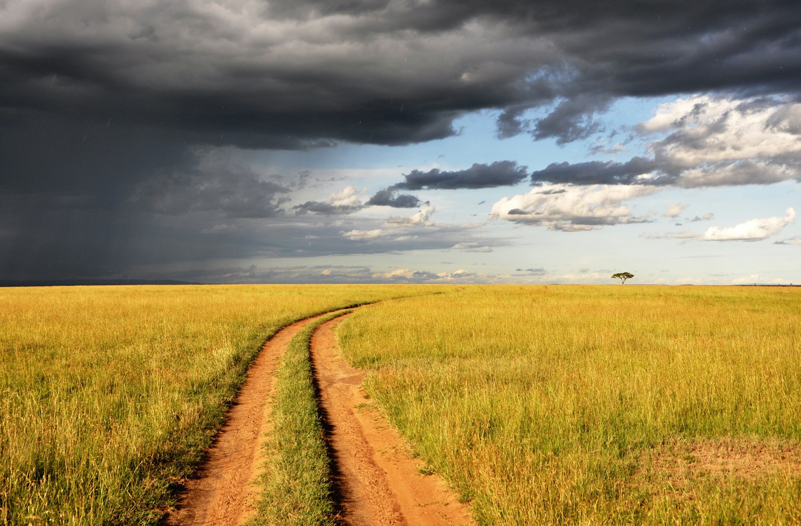 A track running through savanna grassland under a gathering storm