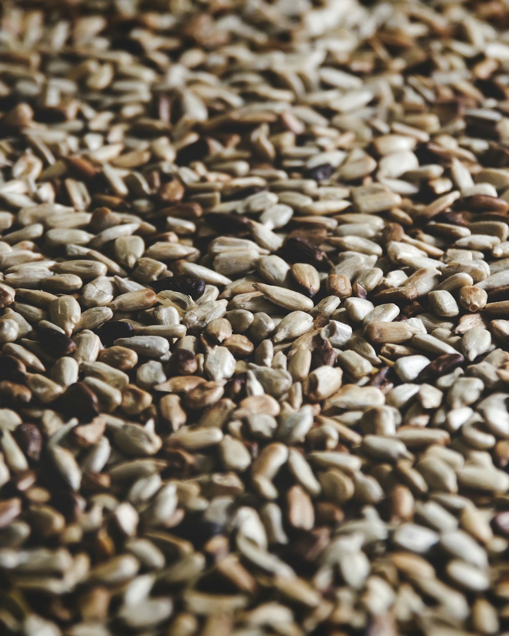 Raw Cashew Nuts