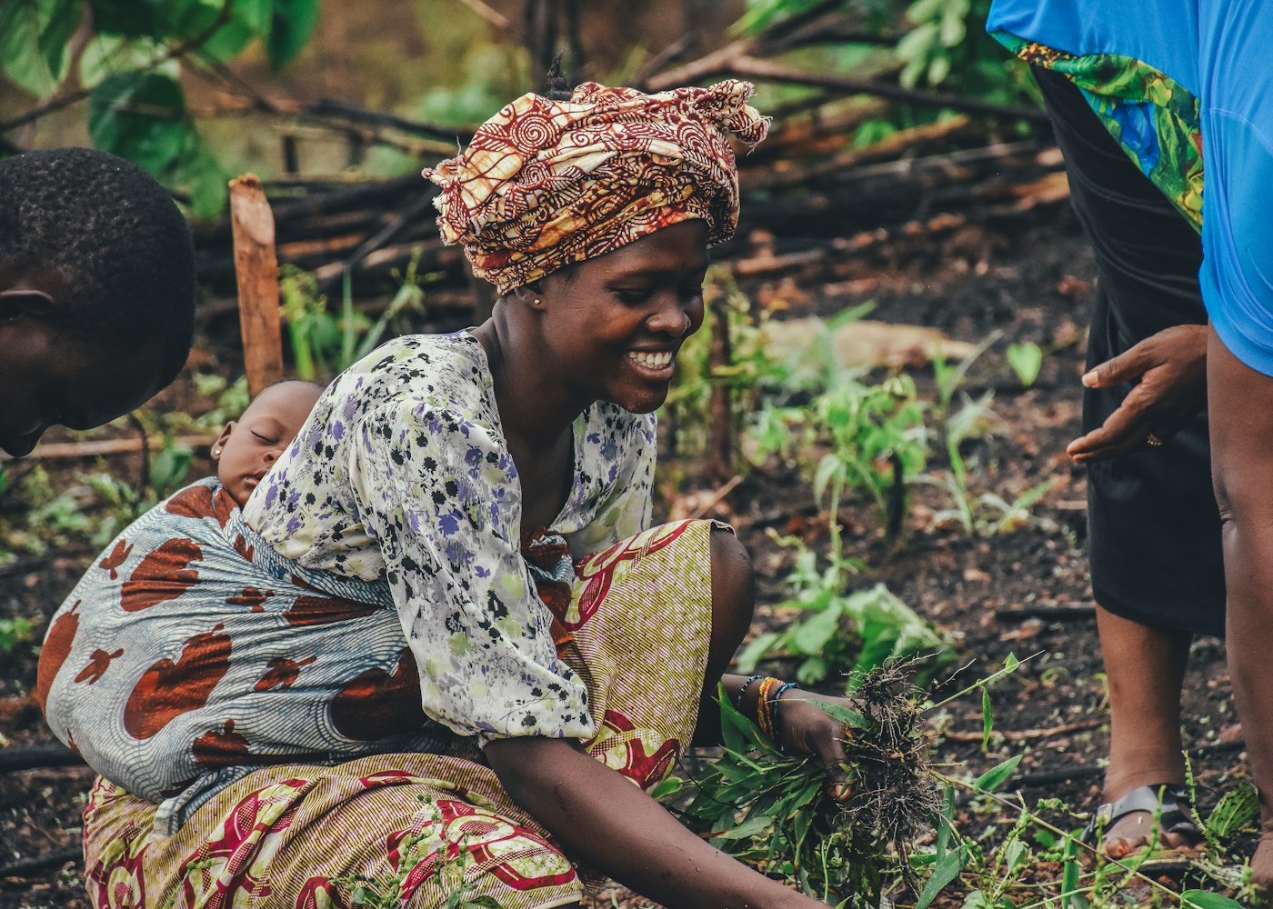 Farmers working a field during the growing season